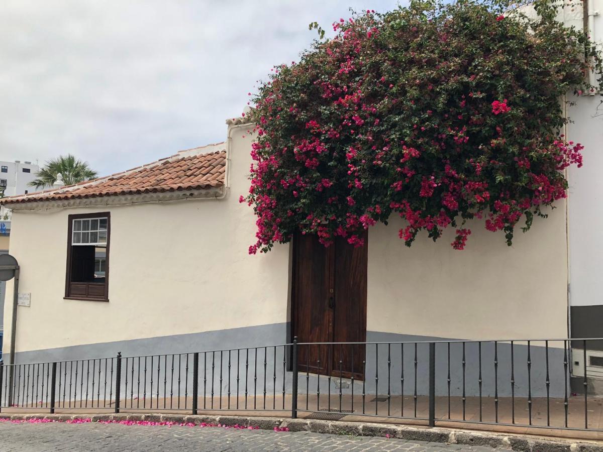 Apartamento La Penca 3 Garachico Lägenhet Garachico  Exteriör bild